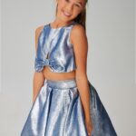 Metalic Skirt and crop top Set