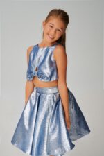 Metalic Skirt and crop top Set