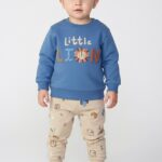 Lion baby boy set